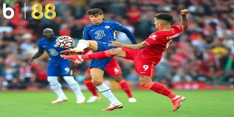 Một số thông tin về kèo châu Á nên biết rõ cho newbie